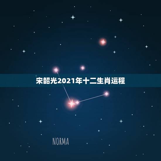 宋韶光2021年十二生肖运程,2021年十二生肖运势运程 宋韶光2021年十二生肖运程,2021年十二生肖运势运程