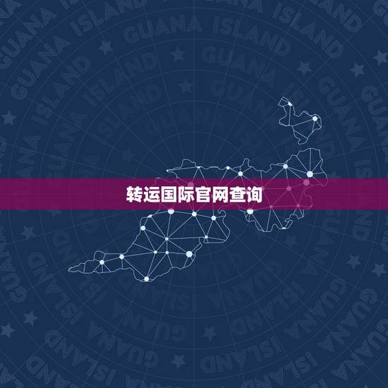 转运国际官网查询，什么是国际转运