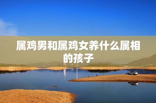 属鸡男和属鸡女养什么属相的孩子，女属猪男属鸡生什么属相宝宝好