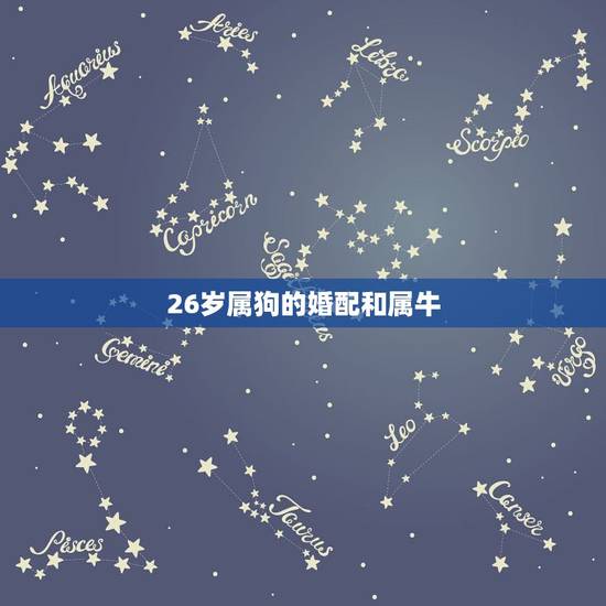 26岁属狗的婚配和属牛，属狗的和属牛的人能合得来么？