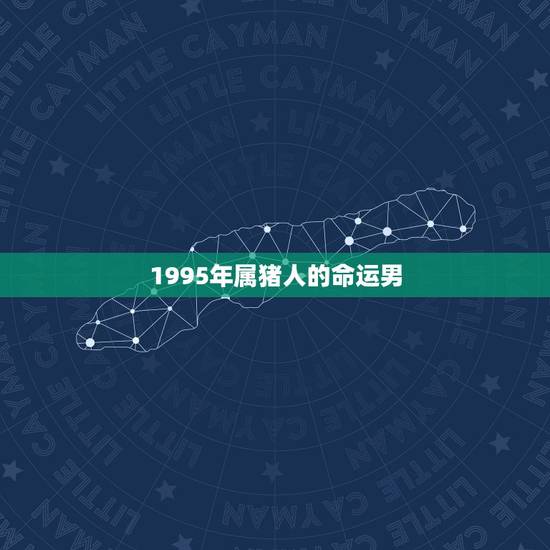 1995年属猪人的命运男，95年属猪的一生运势