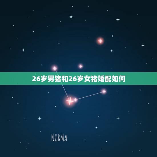 26岁男猪和26岁女猪婚配如何，男属猪的和女属猪的属相可以相配吗