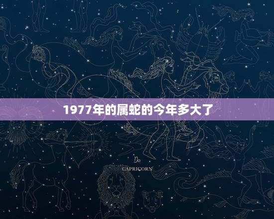 1977年的属蛇的今年多大了,属蛇的年龄是多少? 1977年的属蛇的今年多大了,属蛇的年龄是多少?