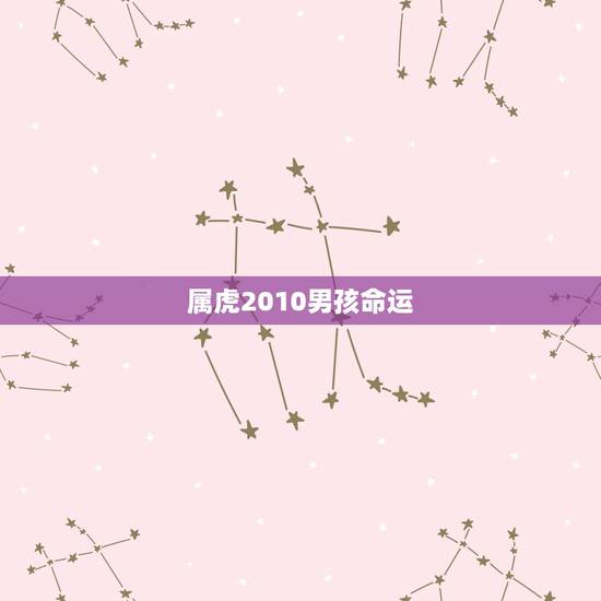 属虎2010男孩命运 2010年属虎一生学业如何 属虎2010男孩命运 2010年属虎一生学业如何