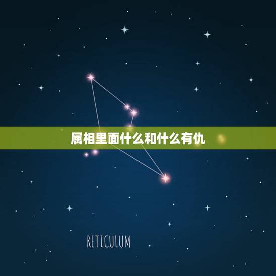属相里面什么和什么有仇，属狗的和什么属相和？和什么属相不和？