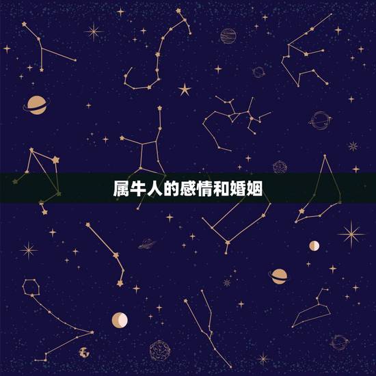 属牛人的感情和婚姻,属牛人有婚姻上的麻烦 属牛人的感情和婚姻,属牛人有婚姻上的麻烦
