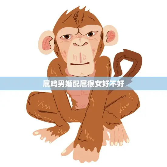 属鸡男婚配属猴女好不好(如何看待这对星座组合) 属鸡男婚配属猴女好不好(如何看待这对星座组合)