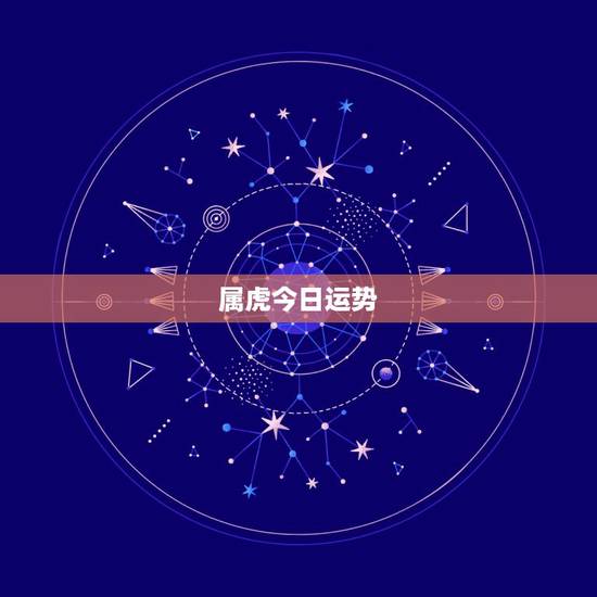 属虎今日运势，属虎的今天财运