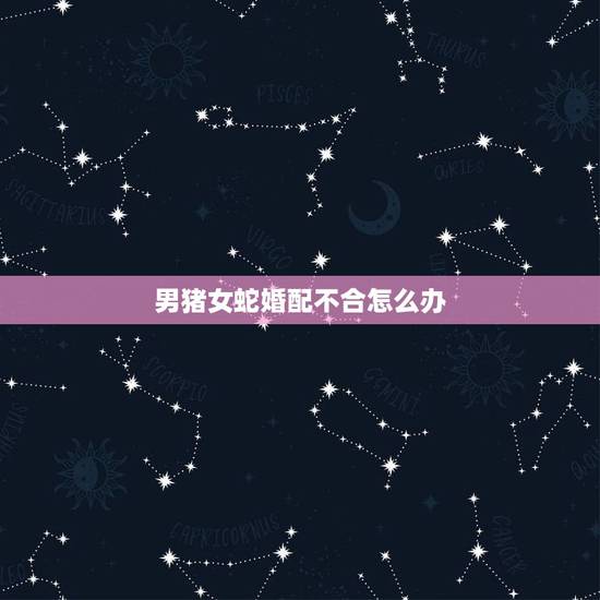 男猪女蛇婚配不合怎么办,男猪女蛇相冲怎么化解 男猪女蛇婚配不合怎么办,男猪女蛇相冲怎么化解