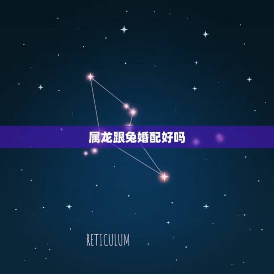 属龙跟兔婚配好吗，女属兔男属龙婚姻状况