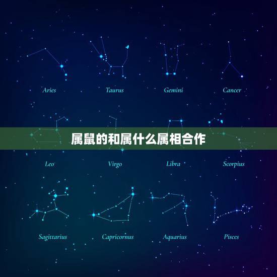 属鼠的和属什么属相合作，属鼠的与哪个属相合作好