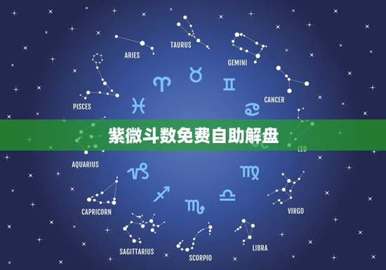 紫微斗数免费自助解盘,紫微斗数在线排盘免费算命 紫微斗数免费自助解盘,紫微斗数在线排盘免费算命