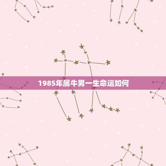 1985年属牛男一生命运如何，男人属牛1985年命运怎样