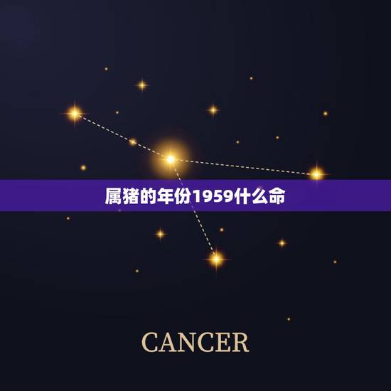 属猪的年份1959什么命,1959年平地木命性格 属猪的年份1959什么命,1959年平地木命性格