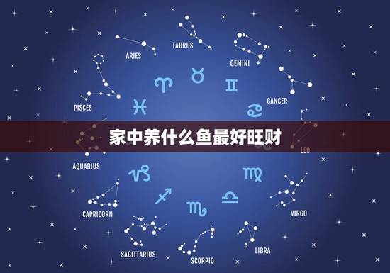 家中养什么鱼最好旺财，家中养鱼风水有什么讲究？