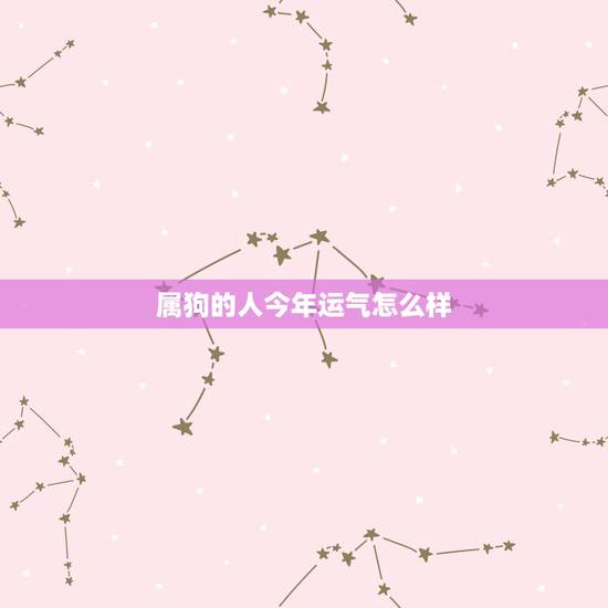 属狗的人今年运气怎么样,属狗人2022 年每月运势 属狗的人今年运气怎么样,属狗人2022 年每月运势