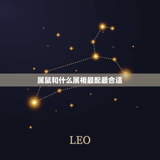 属鼠和什么属相最配最合适,属鼠跟属虎的相配吗 属鼠和什么属相最配最合适,属鼠跟属虎的相配吗