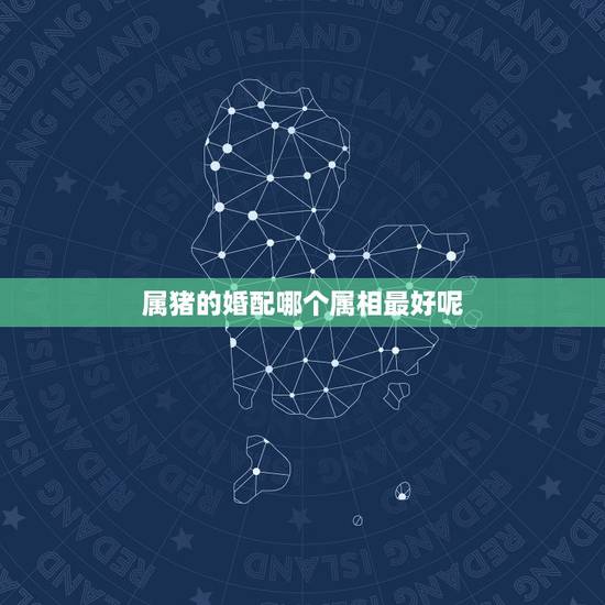 属猪的婚配哪个属相最好呢,男属猪着什么属相的人最婚配 属猪的婚配哪个属相最好呢,男属猪着什么属相的人最婚配