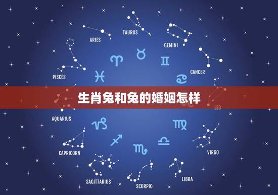 生肖兔和兔的婚姻怎样,生肖兔跟兔结婚合适吗 生肖兔和兔的婚姻怎样,生肖兔跟兔结婚合适吗