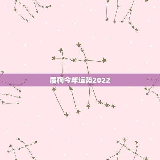 属狗今年运势2022，2022年属狗人的全年运势