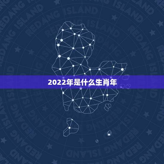 2022年是什么生肖年,2022年灾难最多的生肖 2022年是什么生肖年,2022年灾难最多的生肖