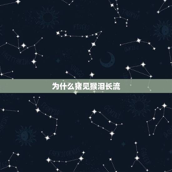为什么猪见猴泪长流,为什么女性寿命长 为什么猪见猴泪长流,为什么女性寿命长