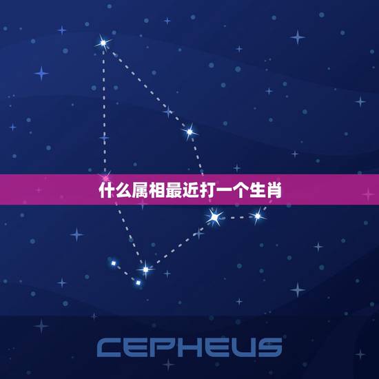 什么属相最近打一个生肖，总字，打一个生肖是什么？