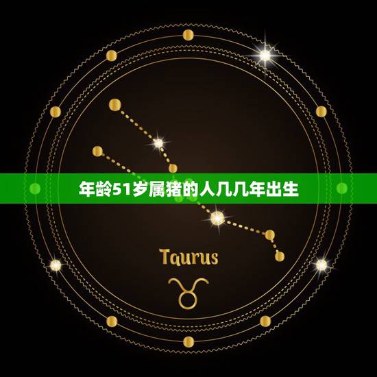 年龄51岁属猪的人几几年出生,属猪的年龄表 年龄51岁属猪的人几几年出生,属猪的年龄表