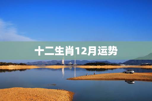 十二生肖12月运势，董易林十二生肖12月1日至10日运势