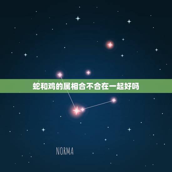 蛇和鸡的属相合不合在一起好吗,属鸡和属蛇的合不合财 蛇和鸡的属相合不合在一起好吗,属鸡和属蛇的合不合财