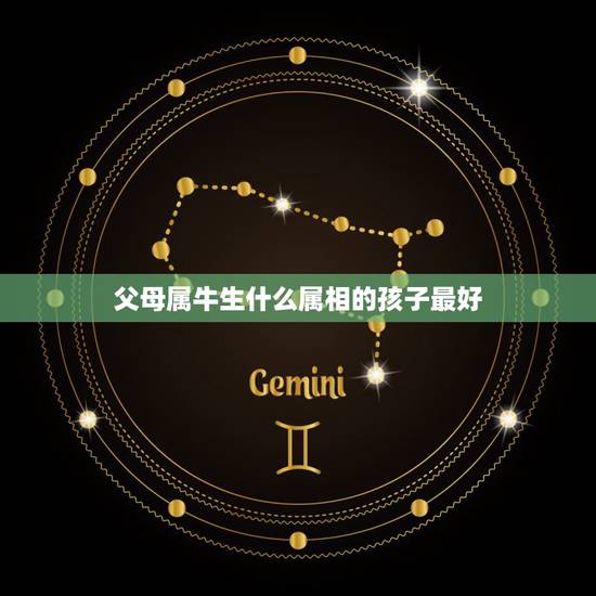 父母属牛生什么属相的孩子最好，属牛和属马的人生什么属相的孩子好