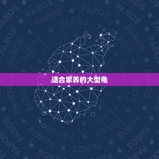 适合家养的大型龟,什么乌龟可以养的很大 适合家养的大型龟,什么乌龟可以养的很大
