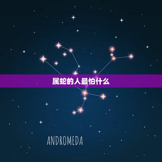 属蛇的人最怕什么，鸡怕蛇还是蛇怕鸡