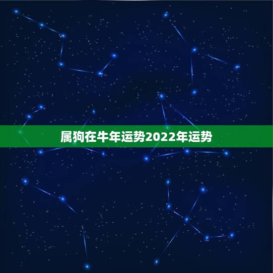 属狗在牛年运势2022年运势，1982年属狗2022年运势