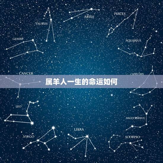 属羊人一生的命运如何,属羊人的性格和脾气 属羊人一生的命运如何,属羊人的性格和脾气