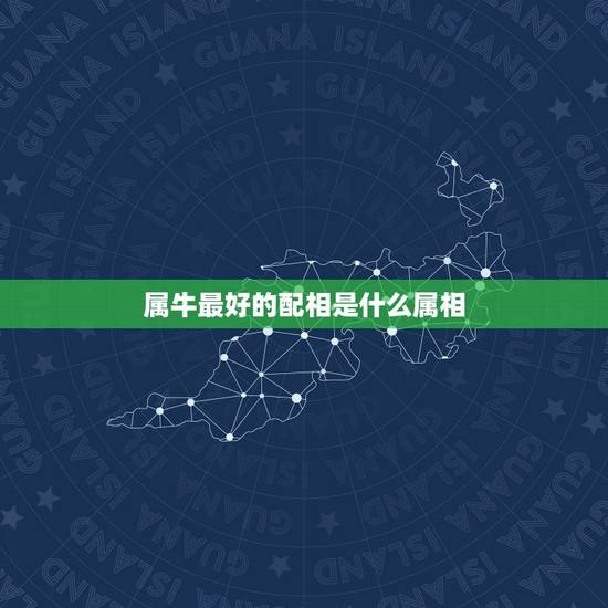 属牛最好的配相是什么属相，属牛男和什么属相最配