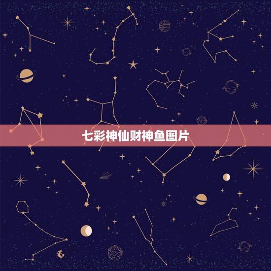 七彩神仙财神鱼图片，七彩神仙鱼财神可以当奶妈吗