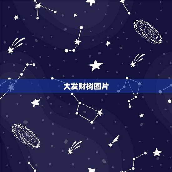 大发财树图片，这种小棵的发财树能长大吗？长成又大又粗的那种、