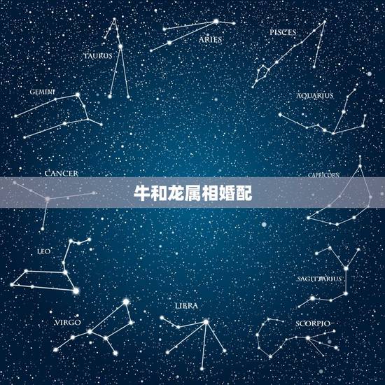 牛和龙属相婚配,属相牛和龙搭配婚姻不好么 牛和龙属相婚配,属相牛和龙搭配婚姻不好么