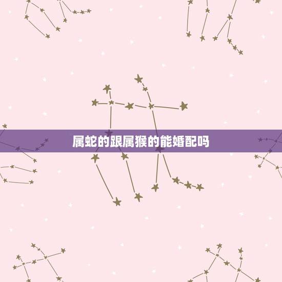 属蛇的跟属猴的能婚配吗，属蛇的人和属猴的人相配吗？