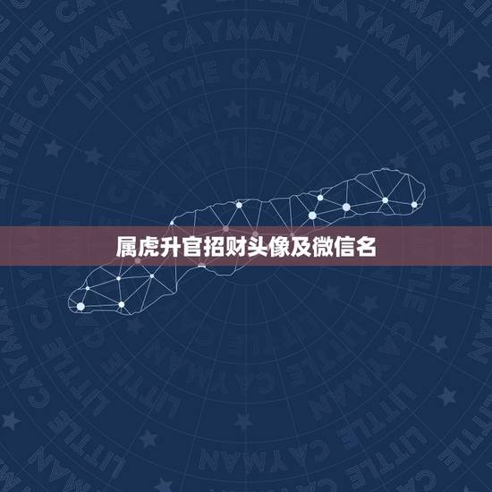 属虎升官招财头像及微信名，74年属虎的人微信用什么头像会招财进宝