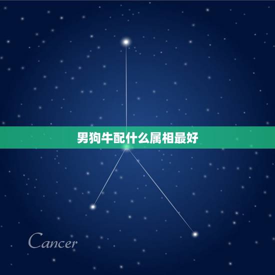 男狗牛配什么属相最好，属狗男的和什么属相最配