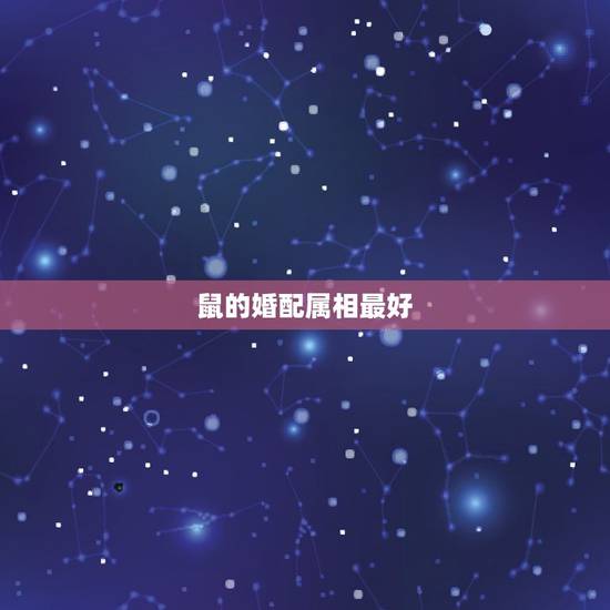 鼠的婚配属相最好，属鼠的和什么属相最合适