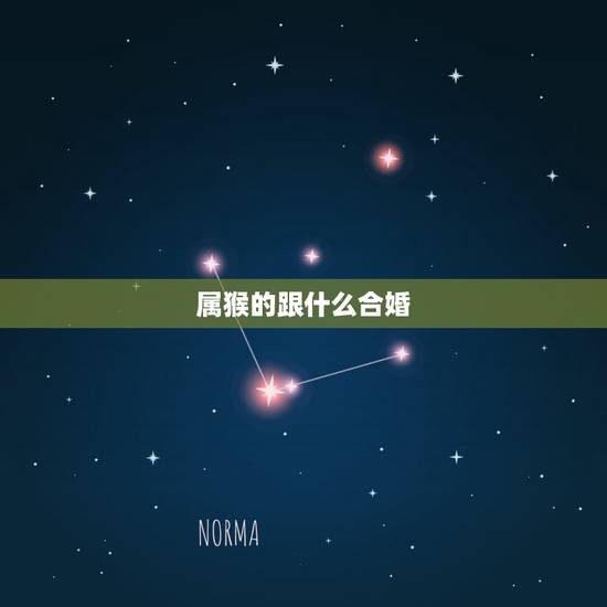 属猴的跟什么合婚，属猴的今年多大