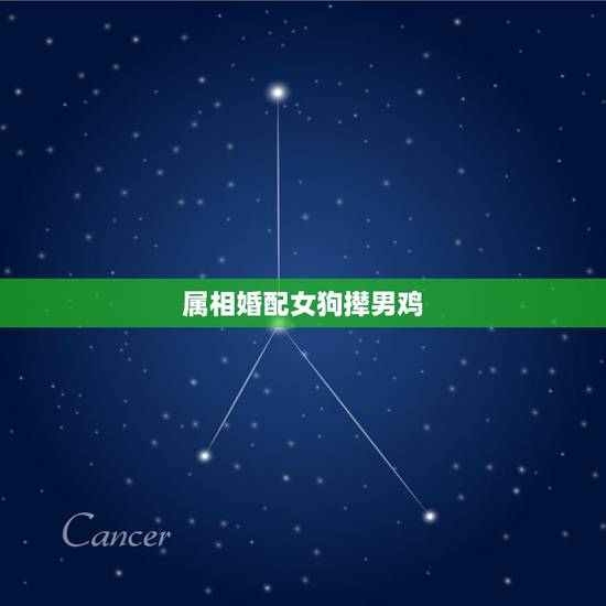 属相婚配女狗撵男鸡，男的属相鸡。女的属相狗。请问能不能结婚。