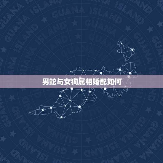 男蛇与女狗属相婚配如何，女蛇跟男狗的婚姻财运如何