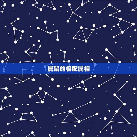 属鼠的相配属相，天珠对应的属相