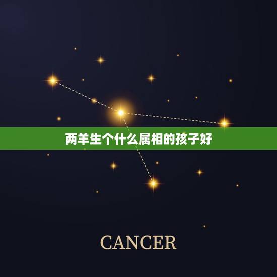 两羊生个什么属相的孩子好,我和老公都属羊,该生个什么属相的孩子比较好? 两羊生个什么属相的孩子好,我和老公都属羊,该生个什么属相的孩子比较好?