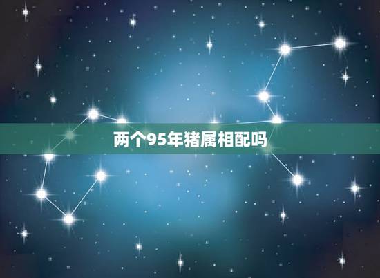 两个95年猪属相配吗，83年属猪和95年属猪的能结婚吗？结婚好不好？