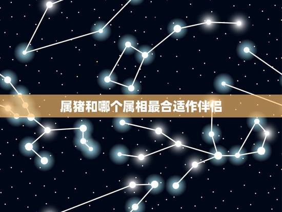 属猪和哪个属相最合适作伴侣，十二生肖属猪跟什么属相（婚恋）最相配